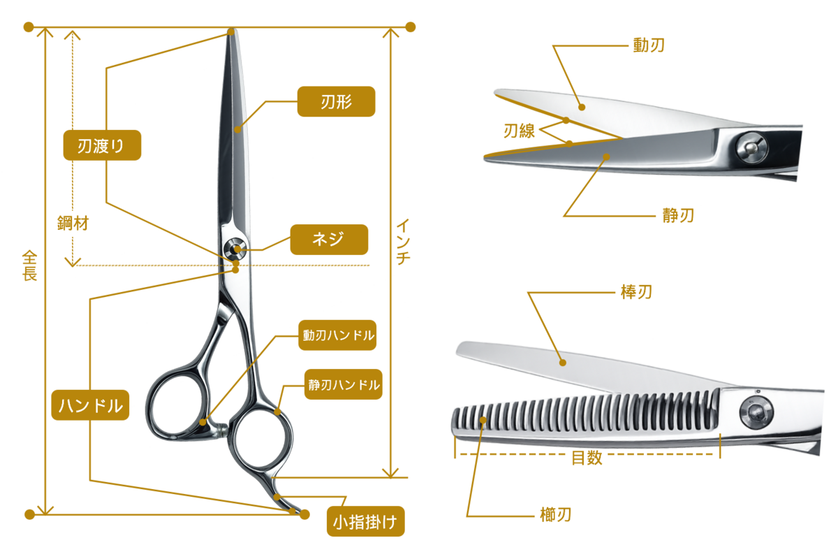 ハサミの各部構造図 - 刃渡り、全長、ネジ、ハンドル、動刃、静刃などの名称